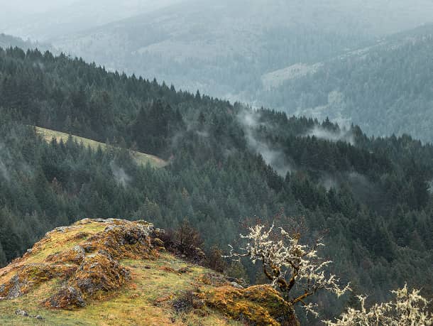Redwood Creek Overlook (1) (1)