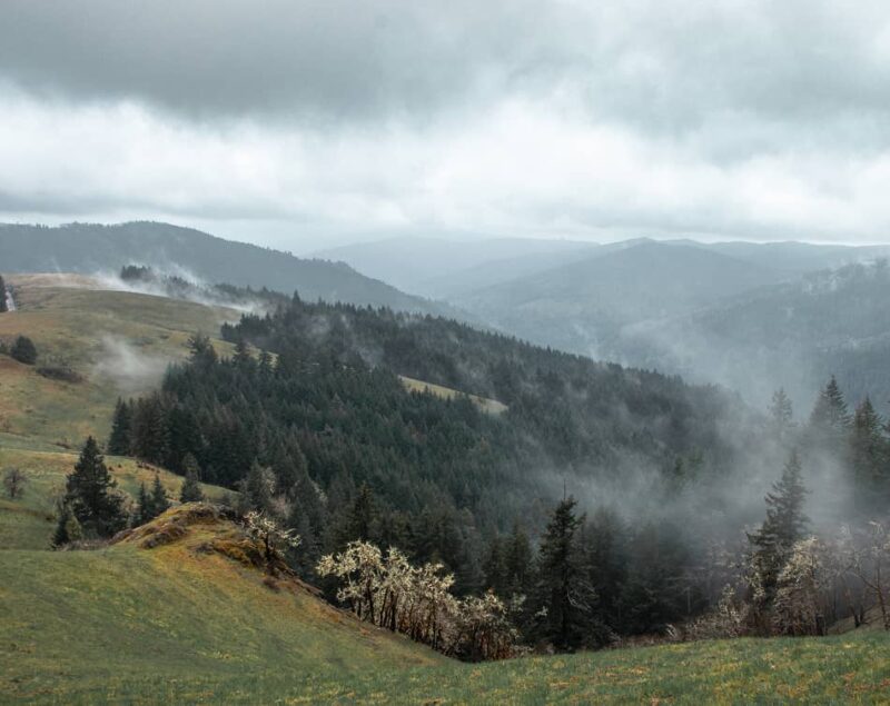 RedwoodCreekOverlook2 (1) (1)